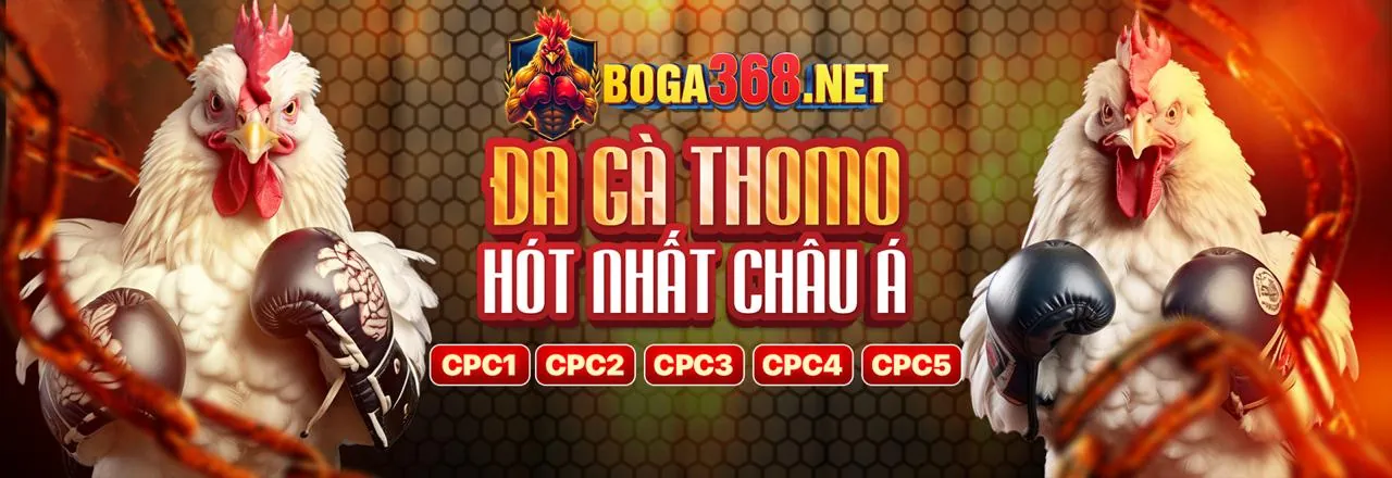 Điều kiện và điều khoản khuyến mãi gacam677